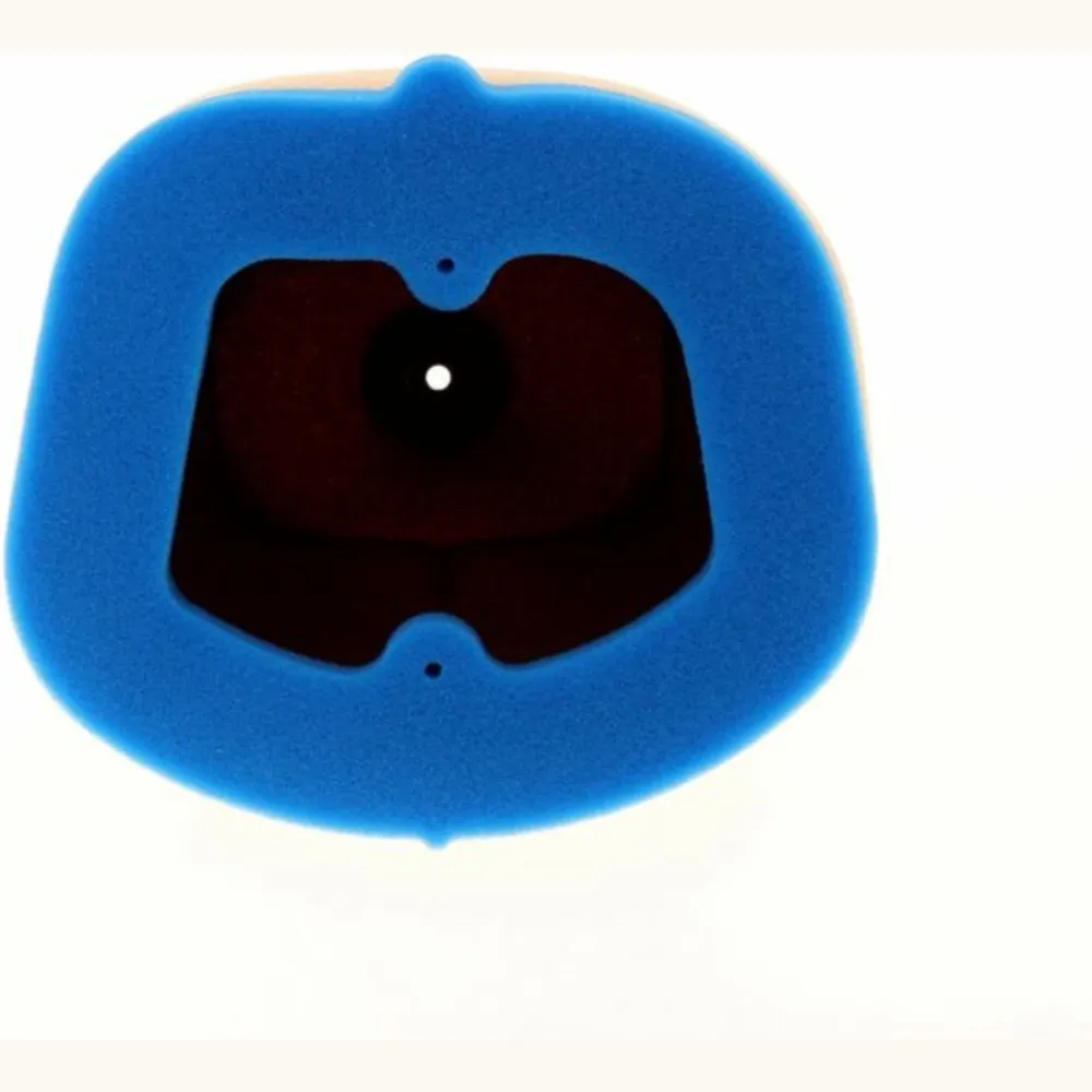 1098842_1