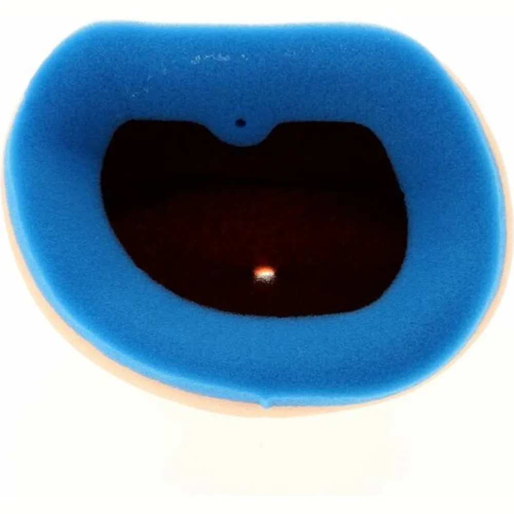 1098848_1