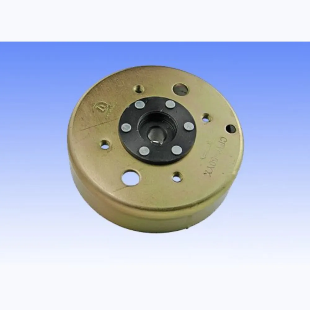 Lichtmaschine Rotor_1