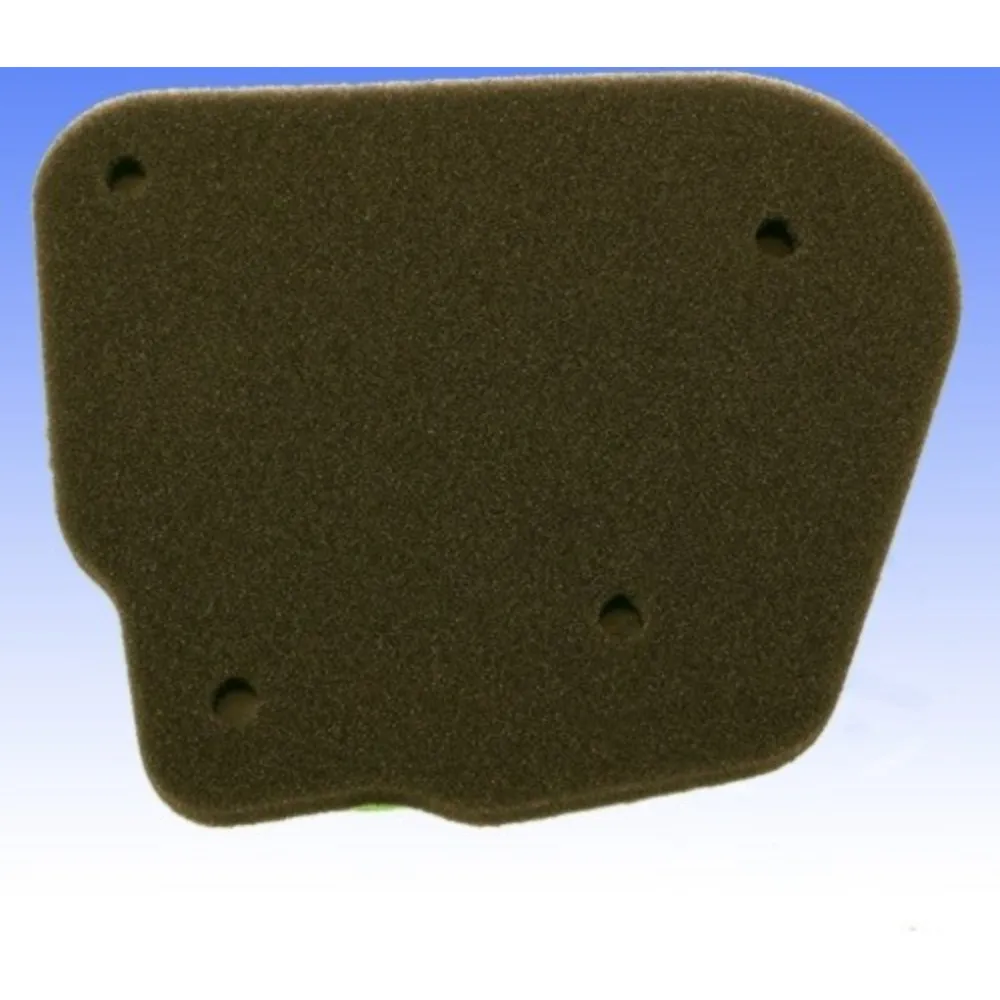 Air filter athena S410485200013_1