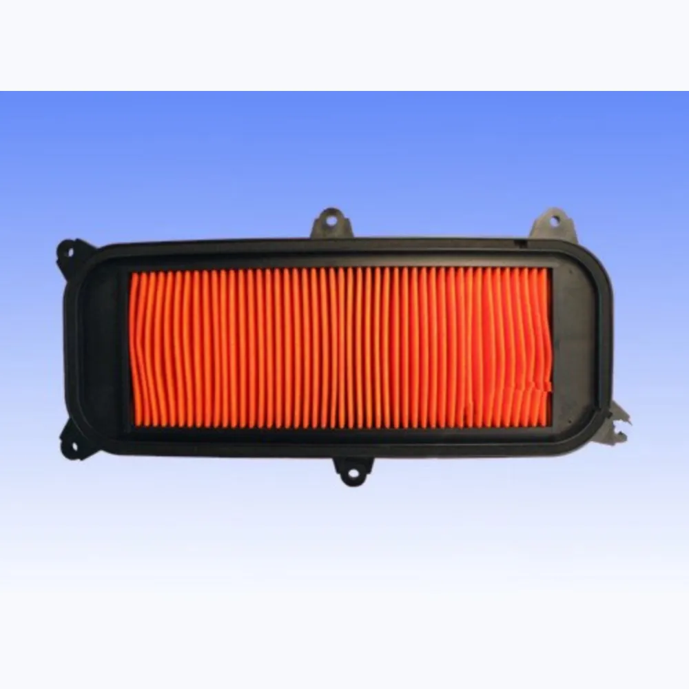 Air filter athena S410210200054_1