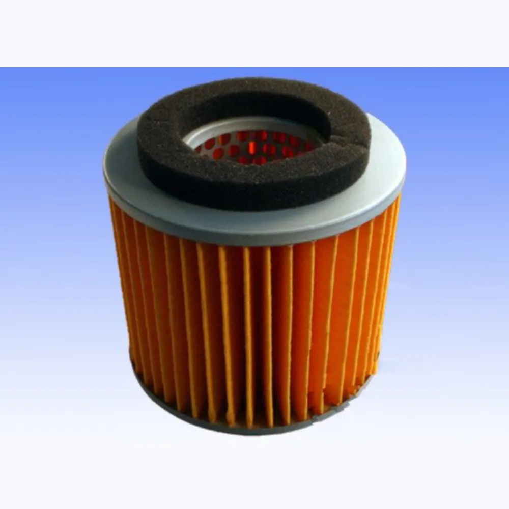 Air filter athena S410485200035_1