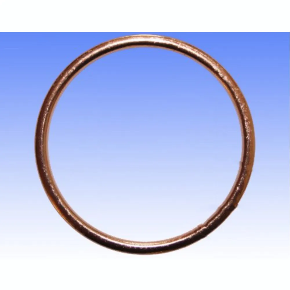 Exhaust gasket S410190012010_1