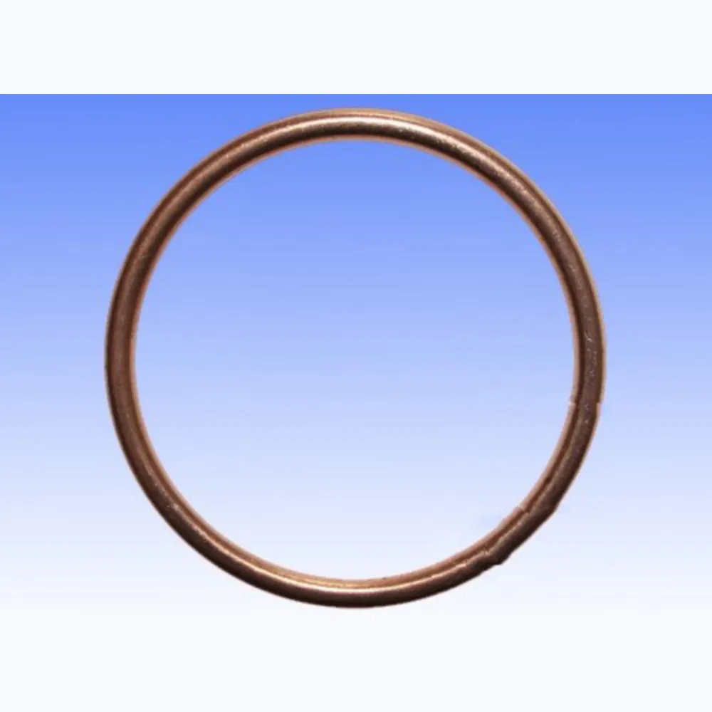 Exhaust gasket S410250012033_1