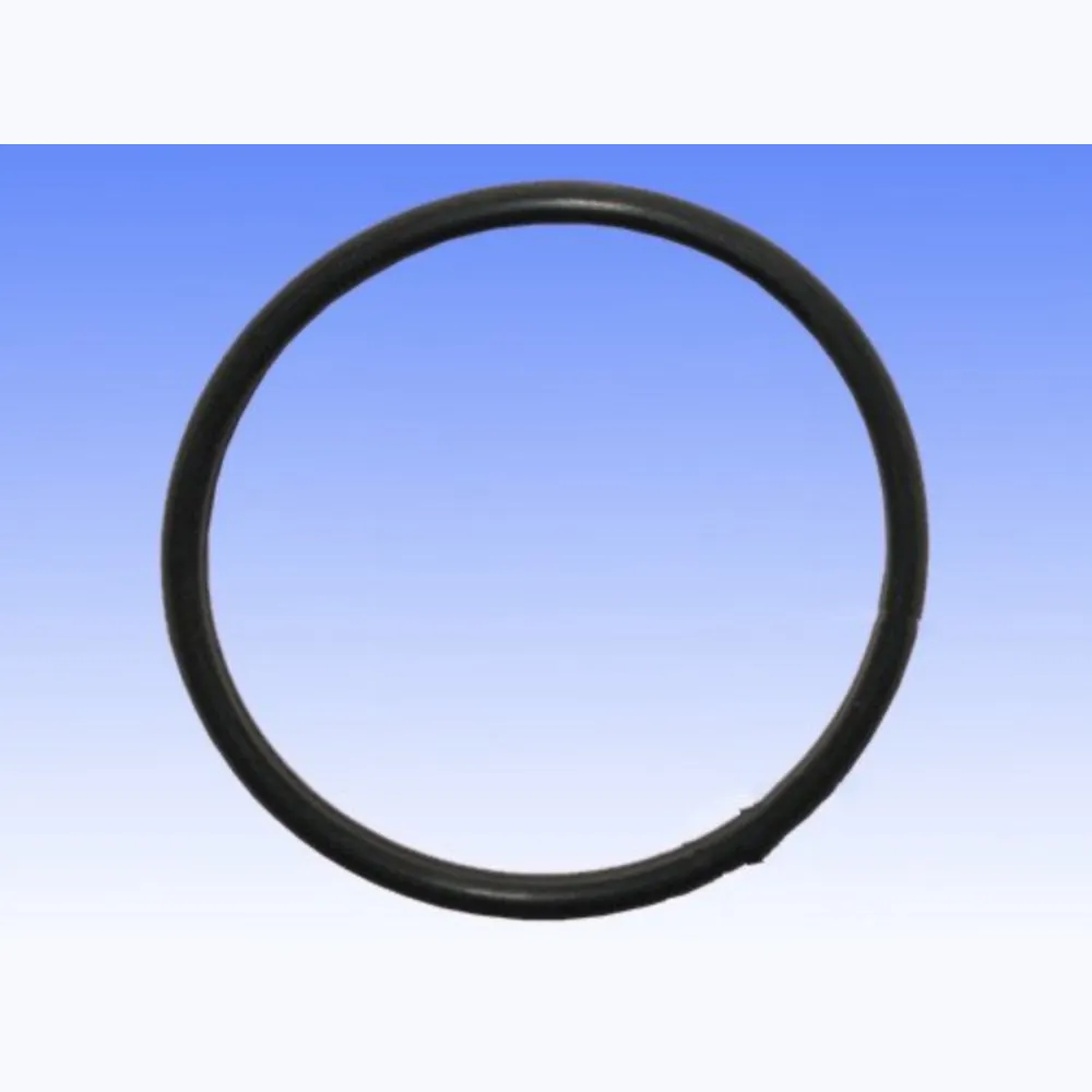 Exhaust gasket S410510012009_1