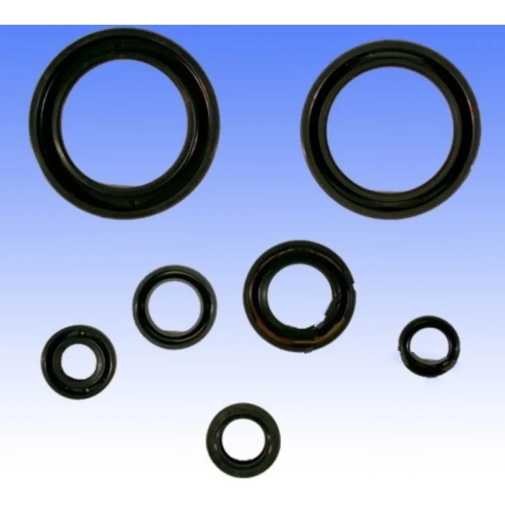 Wellendichtring Satz Athena P400210400095_1