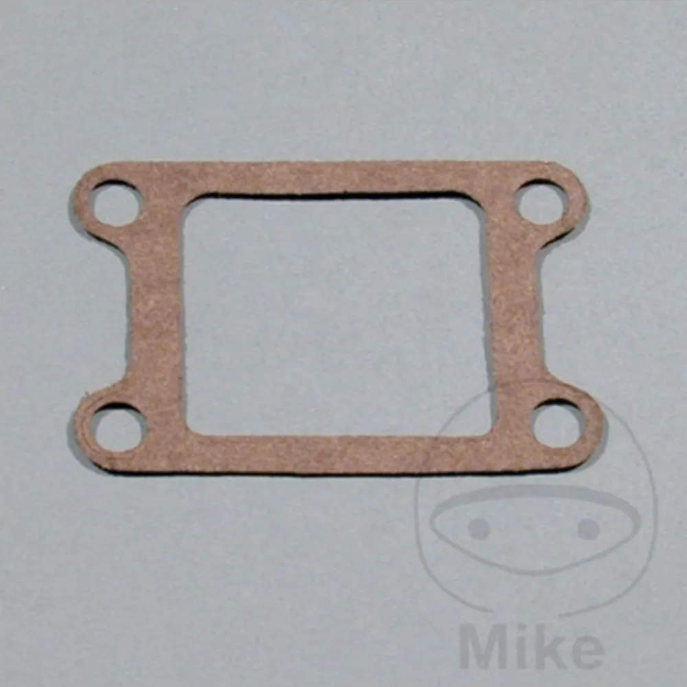 Manifold gasket S410485010008_1