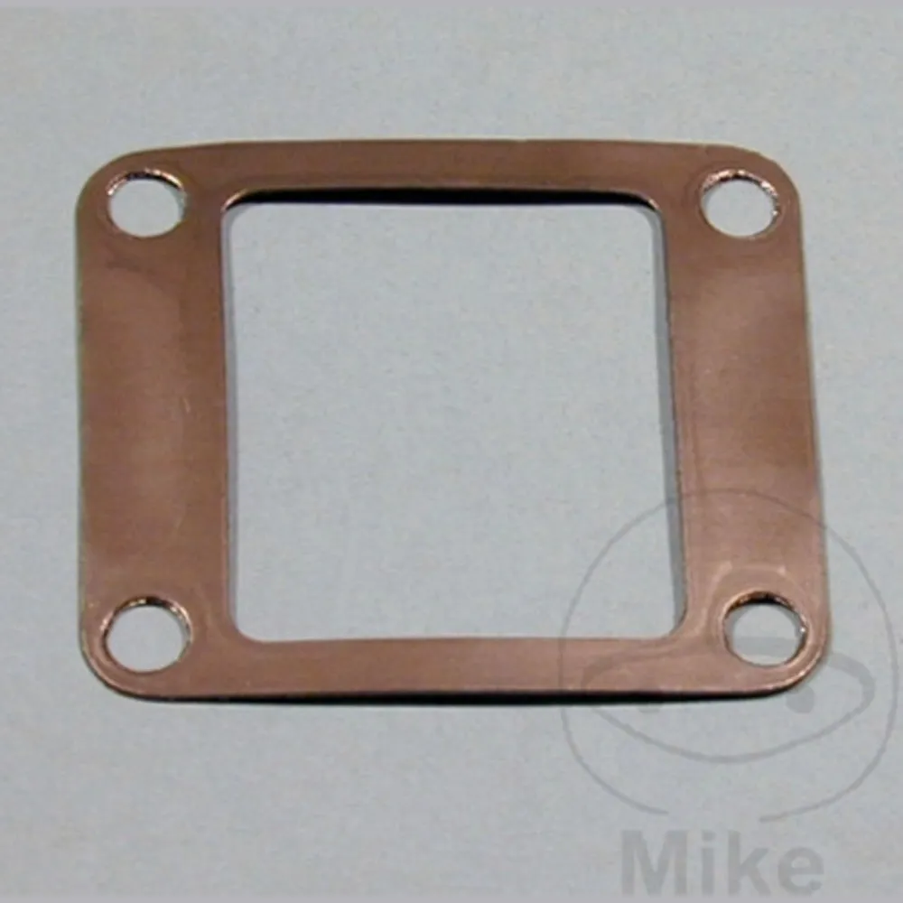 Manifold gasket S410485015012_1