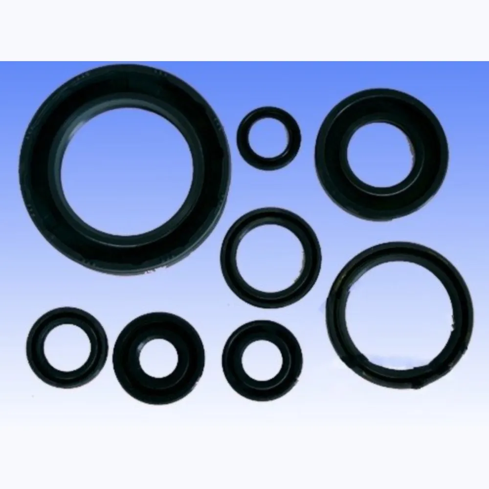 Engine oil seal kit P400210400252_1