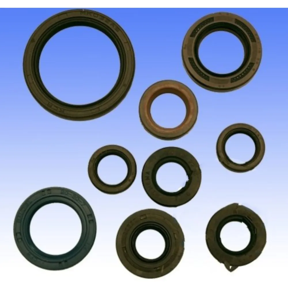 Wellendichtring Satz Athena P400485400404_1