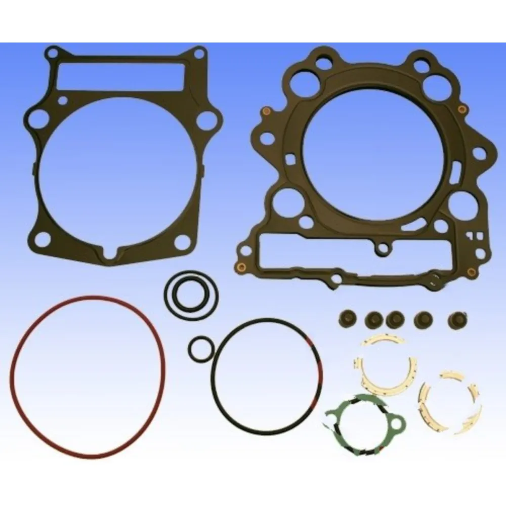 Gasket set topend P400485600041_1