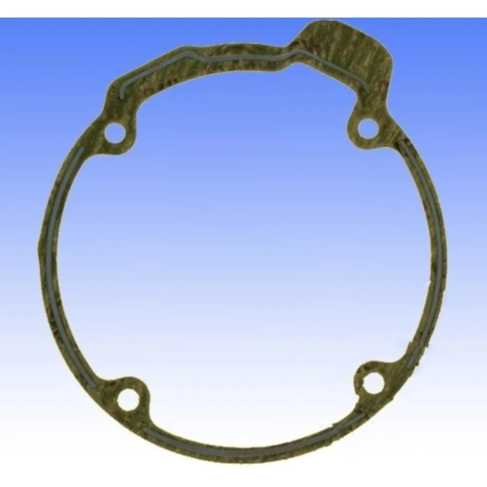 Lichtmaschinendeckeldichtung Athena S410210017024_1