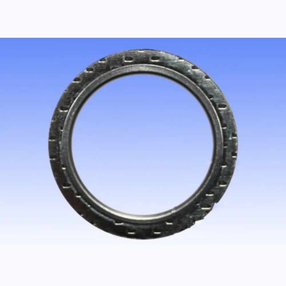 Exhaust gasket S410250012005_1