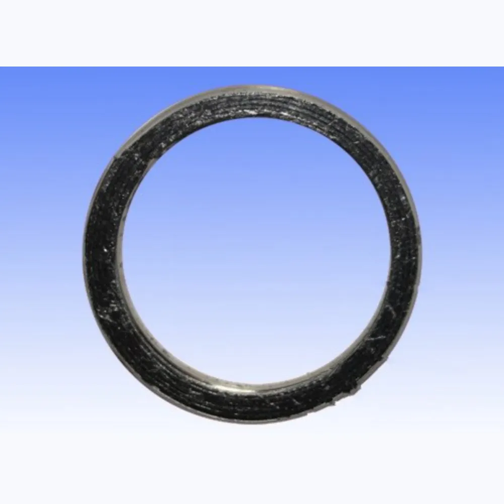 Exhaust gasket S410510012007_1
