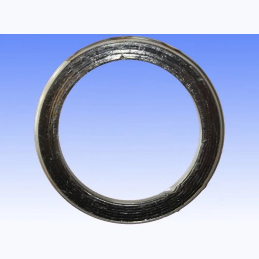 Exhaust gasket S410510012002_1