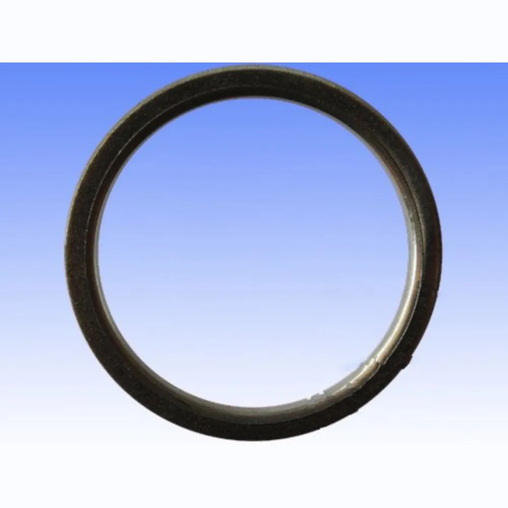 Exhaust gasket S410250012003_1