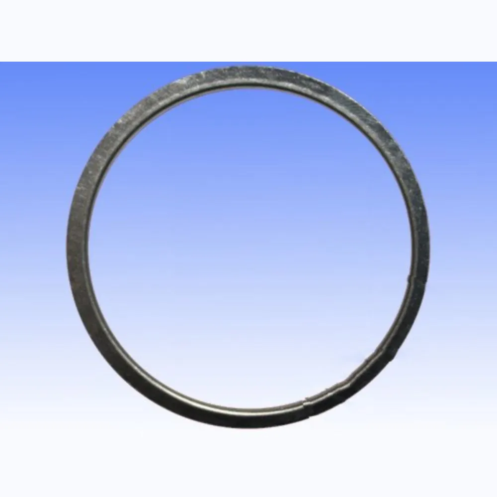 Exhaust gasket S410310012004_1
