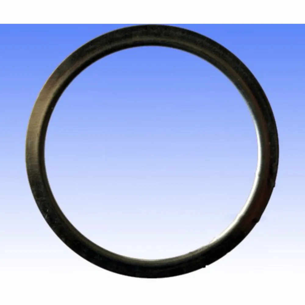 Exhaust gasket S410210012006_1