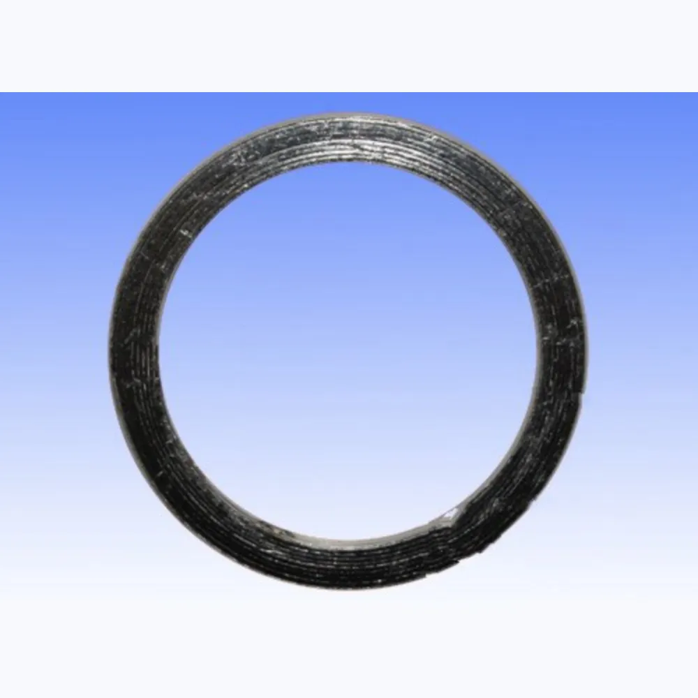 Exhaust gasket S410485012001_1