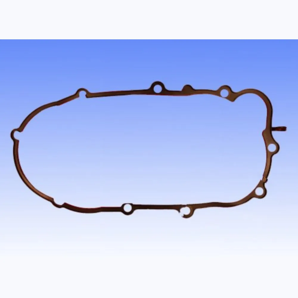 Variomatic cover gasket S410420149003_1
