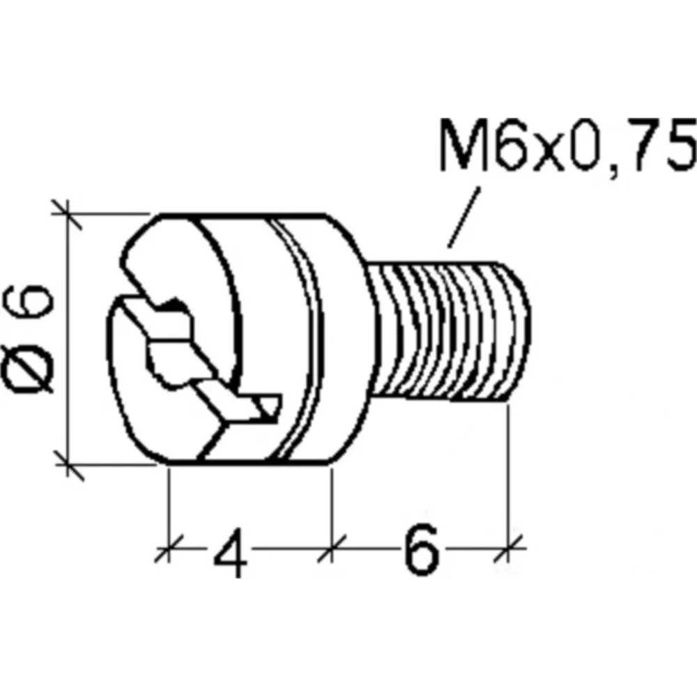 Main jet dellorto m6 0641315502_2