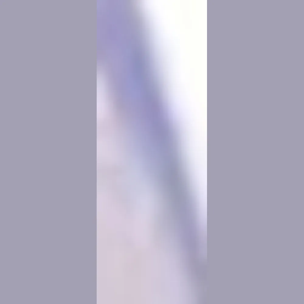 1088063L_3