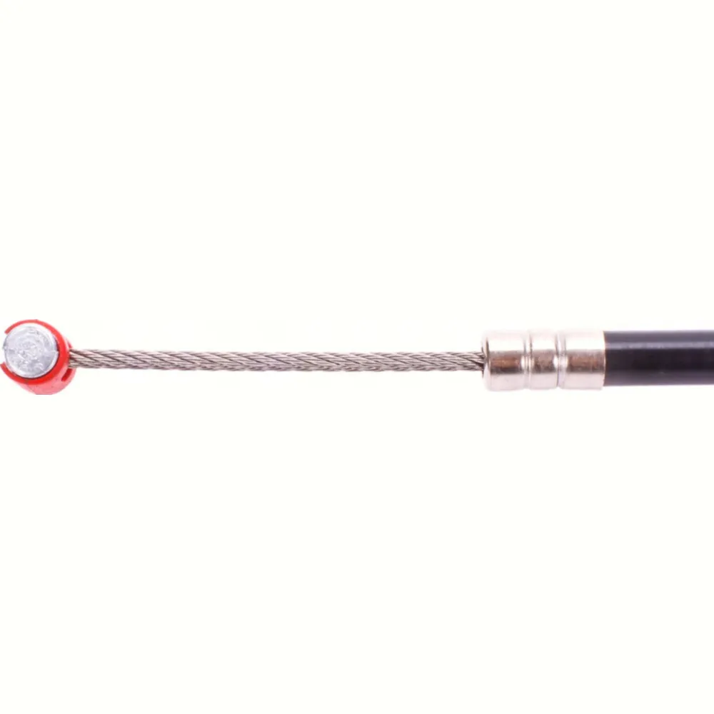 1810110_1