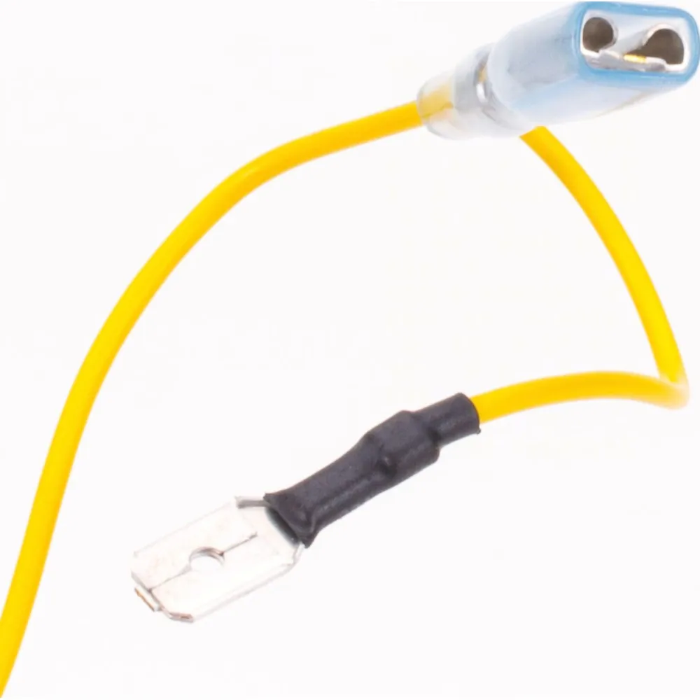 5000907_19