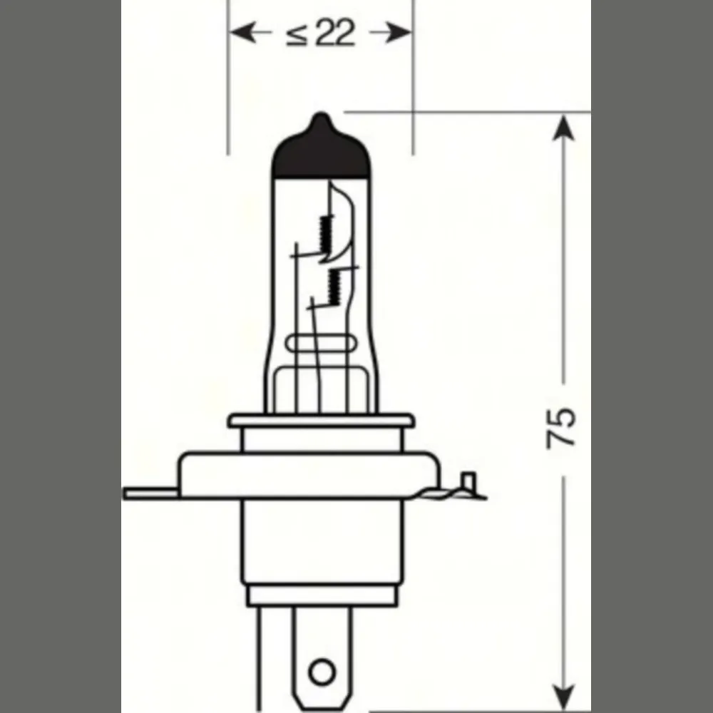 L58043_1