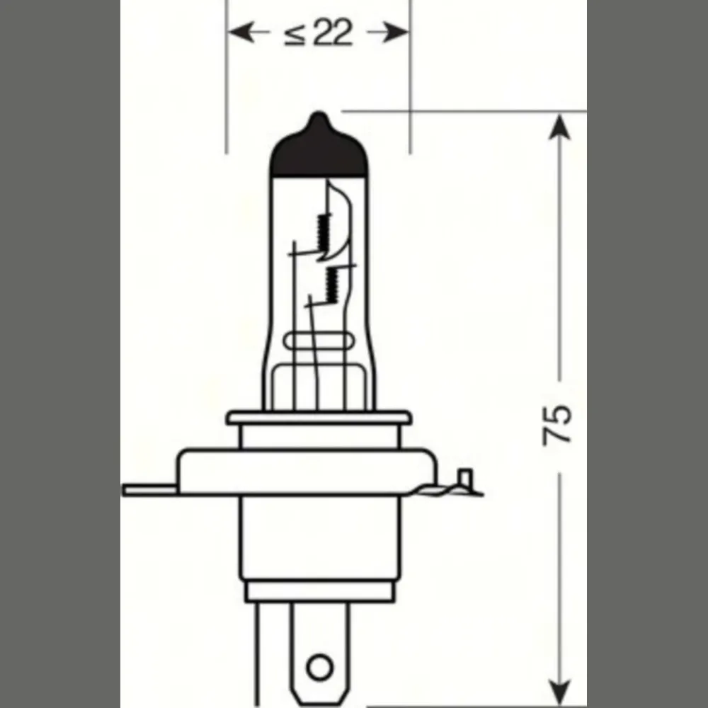 L58195_1