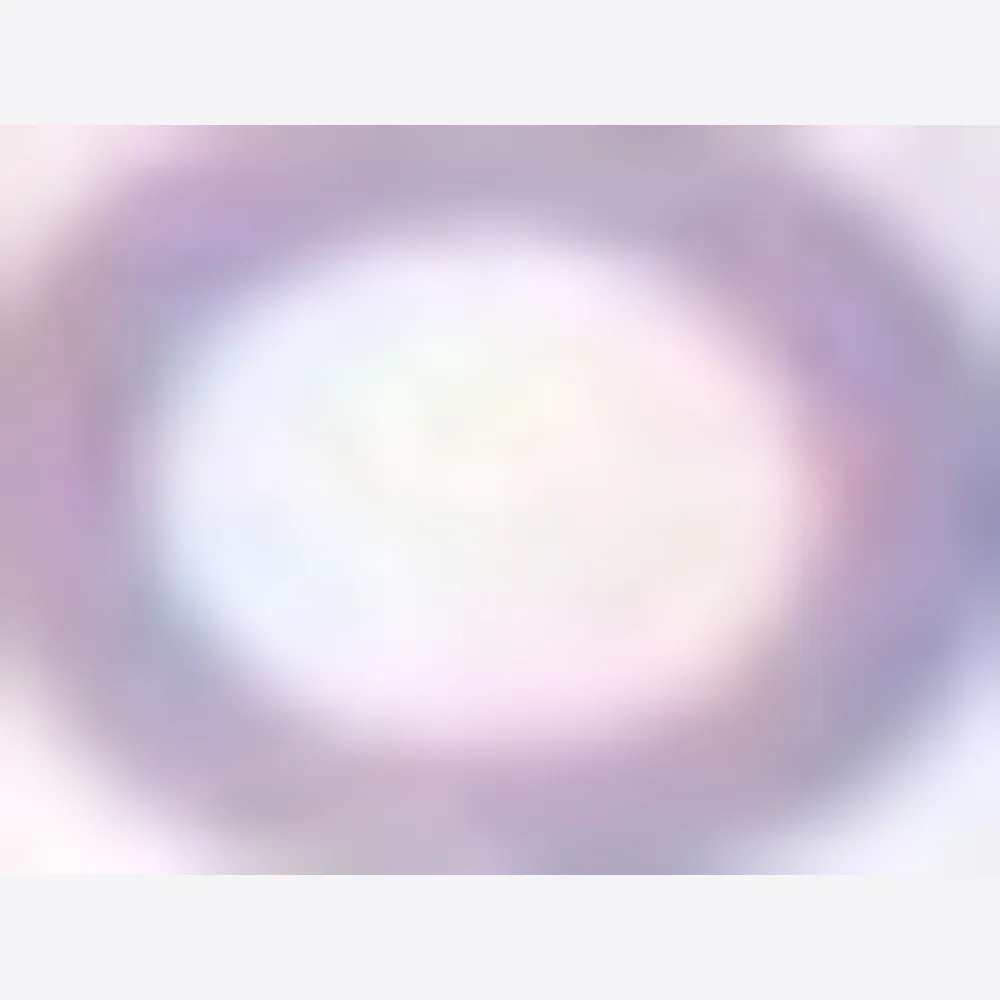 SC-SO-0006_5