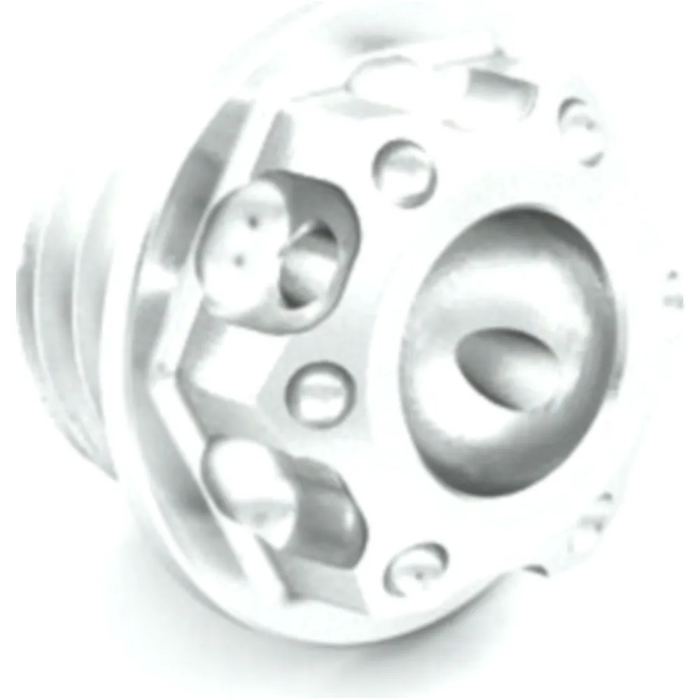 Öleinfüllschraube alu Evotech 20X2. 5 mm silber passend für: Ho