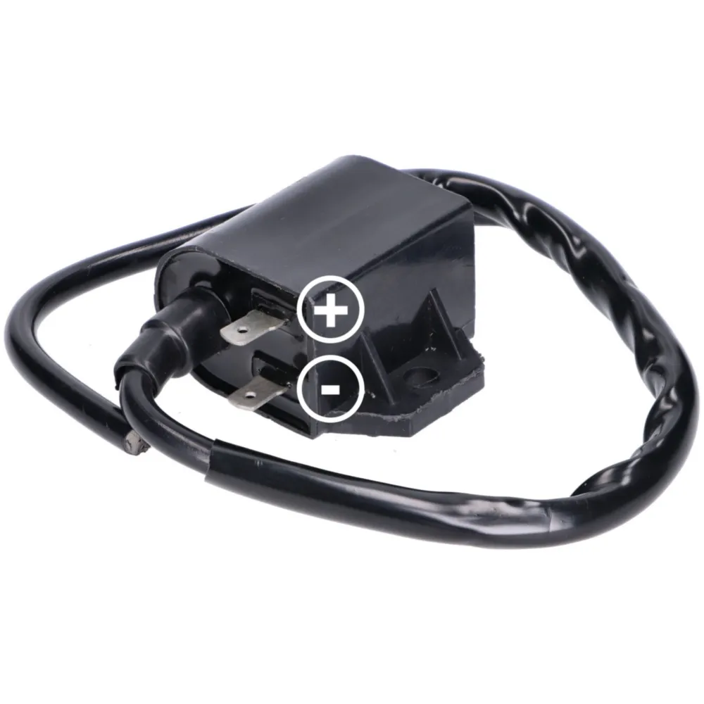 ignition coil for Suzuki Address, Morini 25021_1