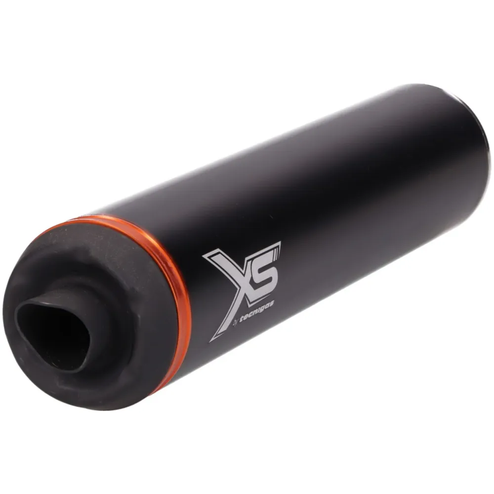Auspuff Tecnigas XS Chrom für Beta Truerba RR/RR 50 CE 39747_1