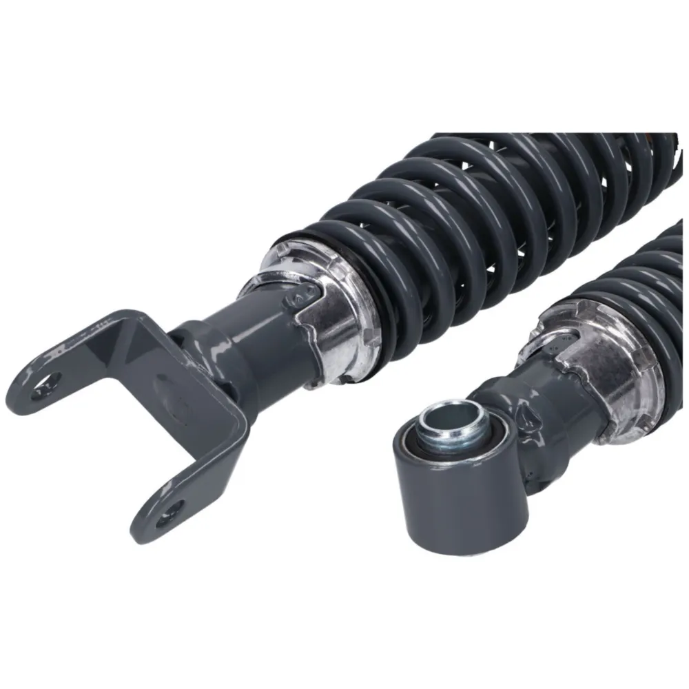 Stoßdämpfer Kit vorn + hinten Carbone Sport RS einstellbar f_1