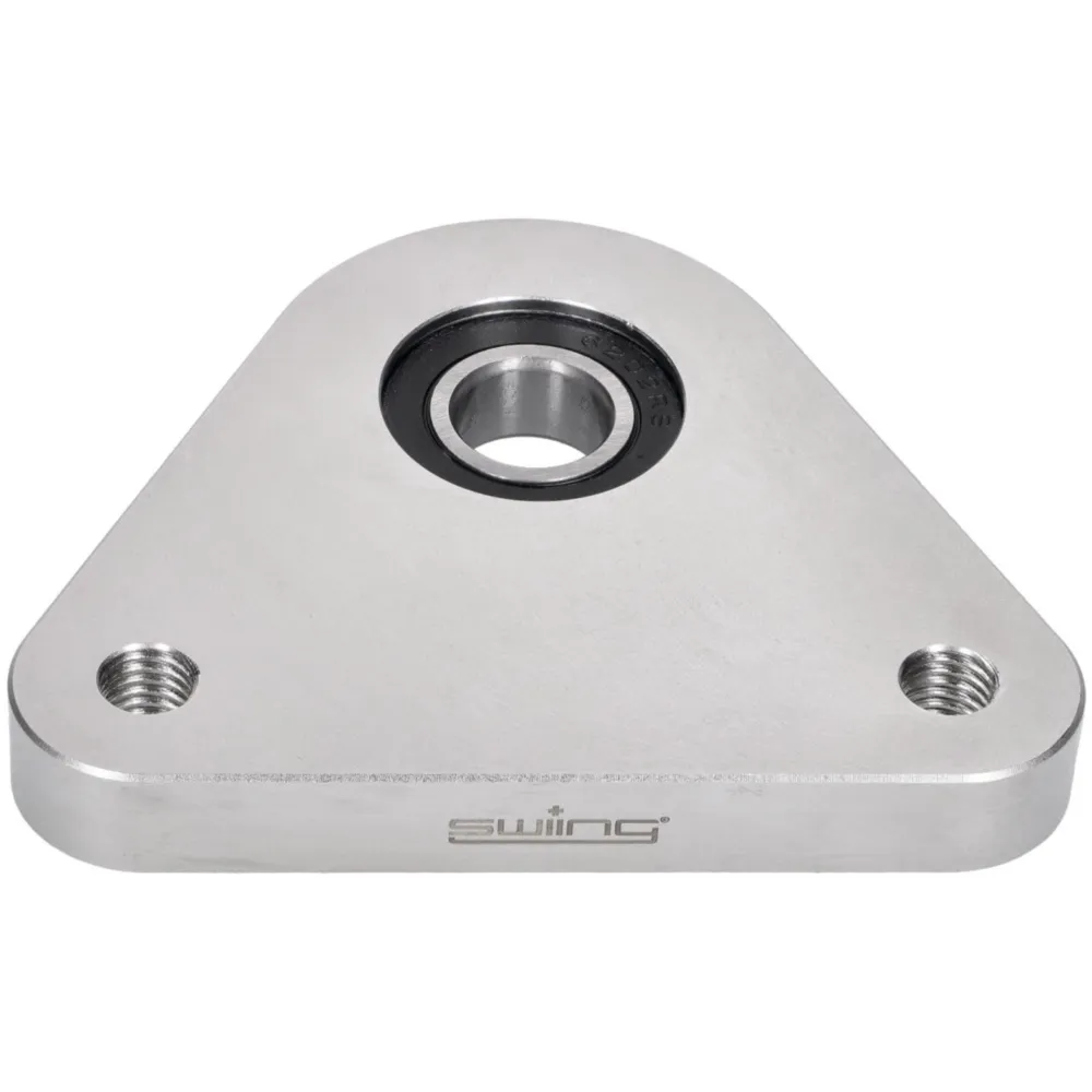 rear wheel bearing plate swiing racing stainless steel for P_1