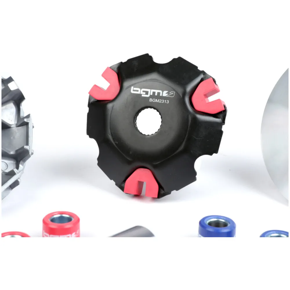 Variator set -BGM PRO, Piaggio I-Get AC- Vespa Primavera 12_3