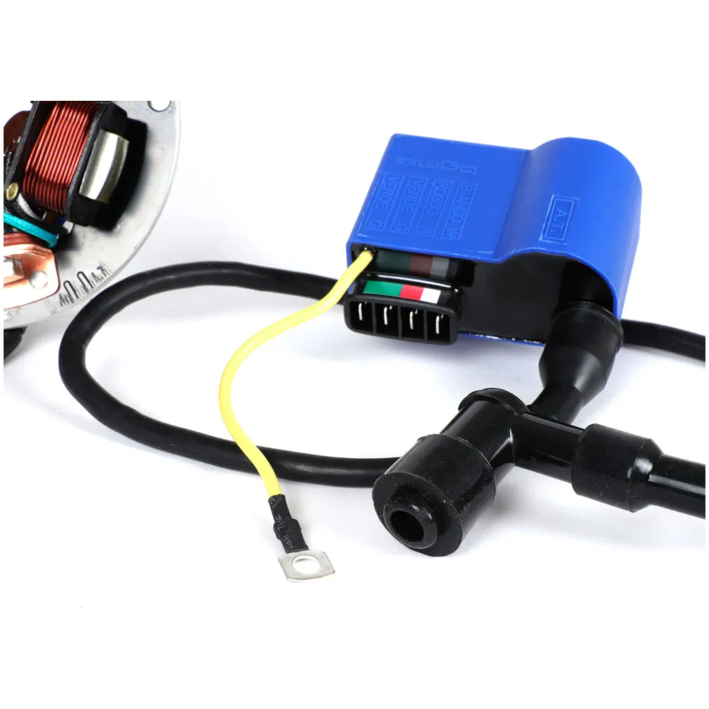 Ignition -BGM PRO 12V Touring - Conversion to electronic ign_1