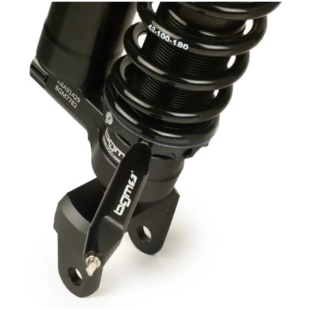 Rear shock absorber -BGM PRO SC/R12 COMPETITION, 330mm- Vesp_2