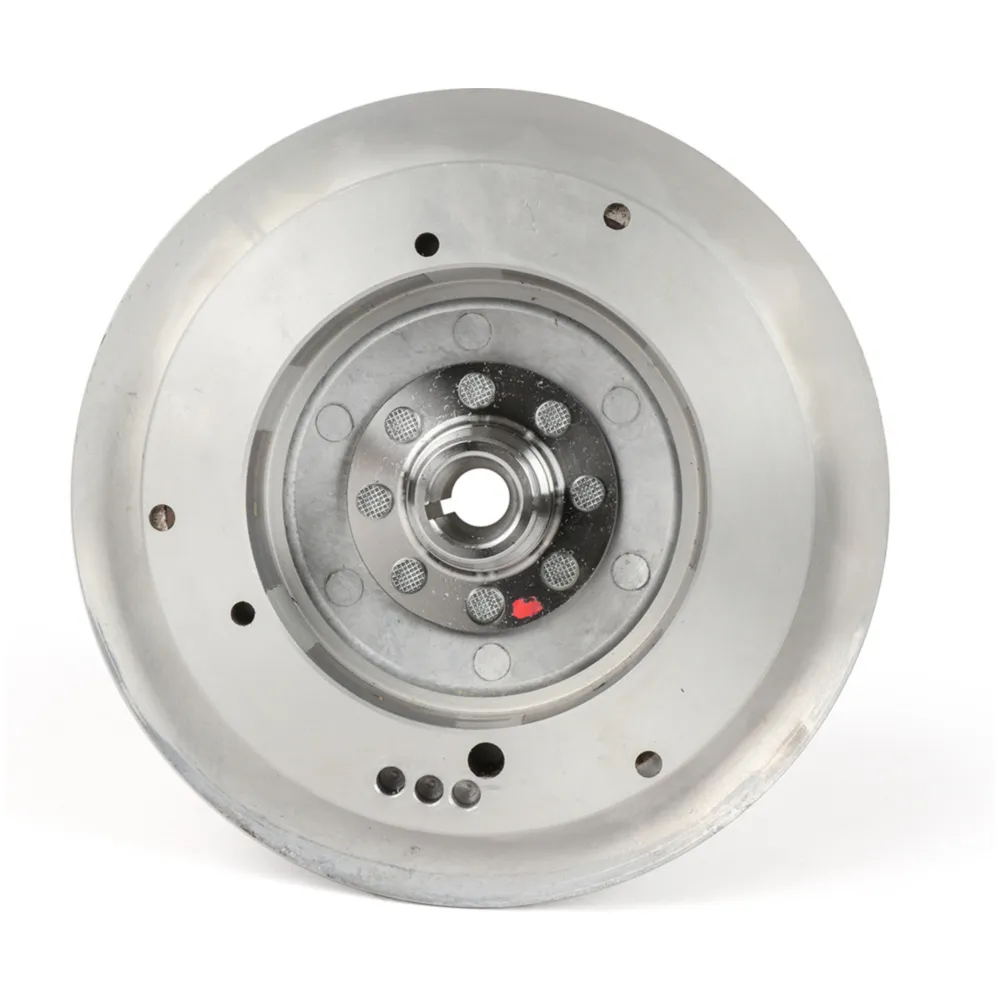Polrad BGM PRO TOURING 2.0 Elektronik spitzer Konus für Vesp_2