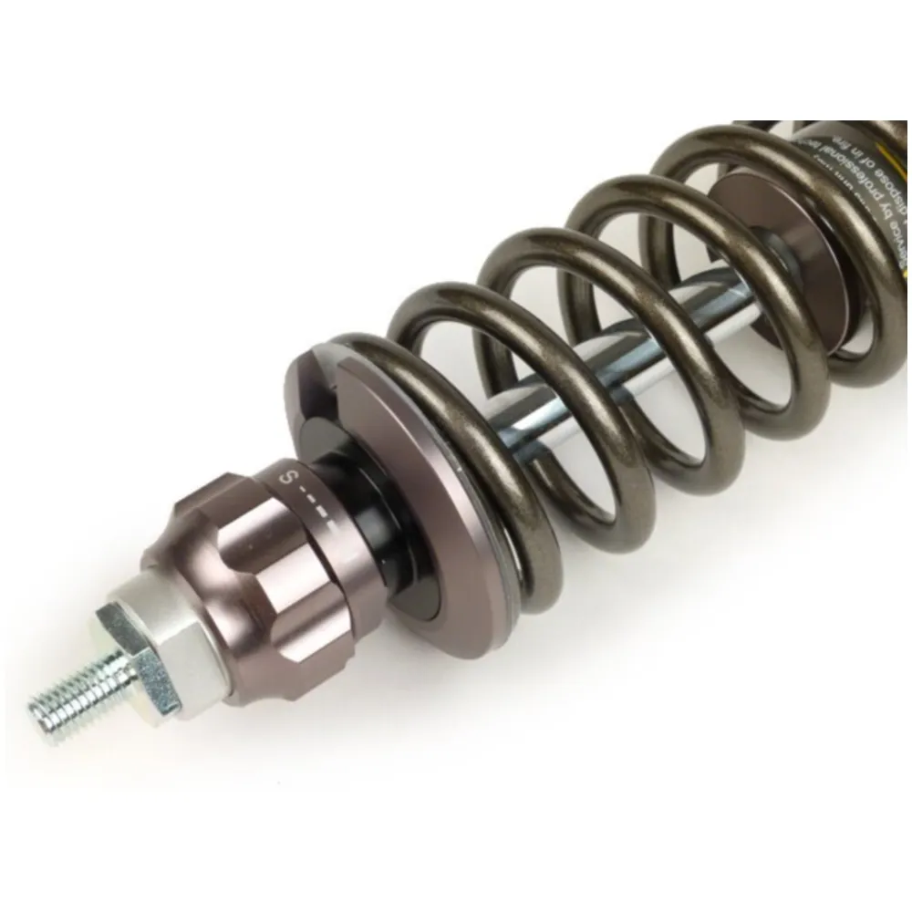 Rear shock absorber BGM PRO SC/R12 COMPETITION, 330mm, gray _1