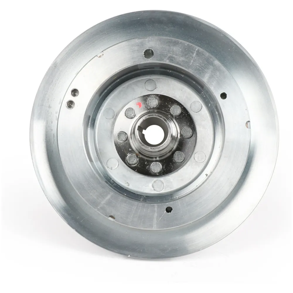 Polrad BGM PRO TOURING 2.0 Elektronik 2300g für Vespa Largef_2