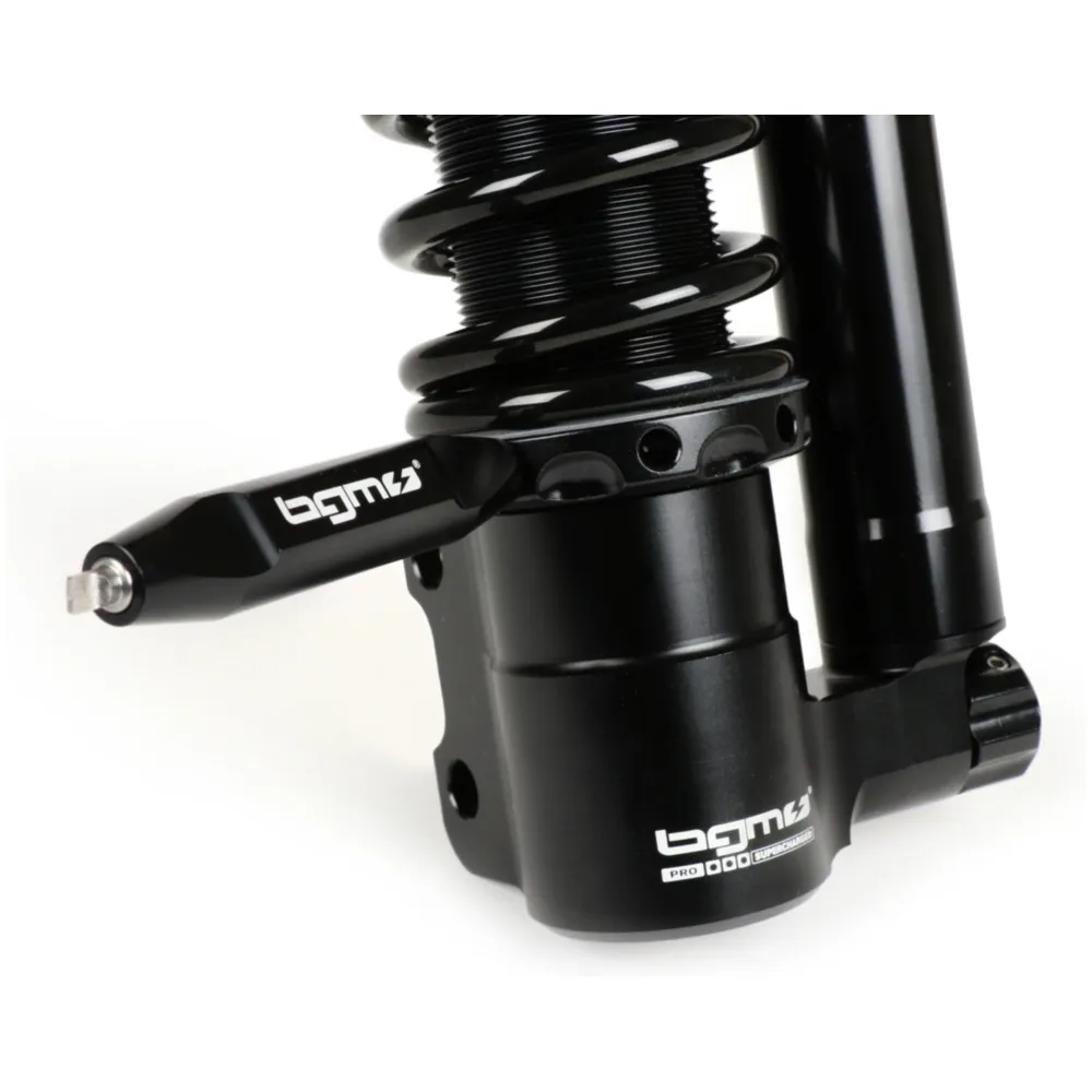 Front shock absorber -BGM PRO SC/F16 COMPETITION, 240mm- Ves_3