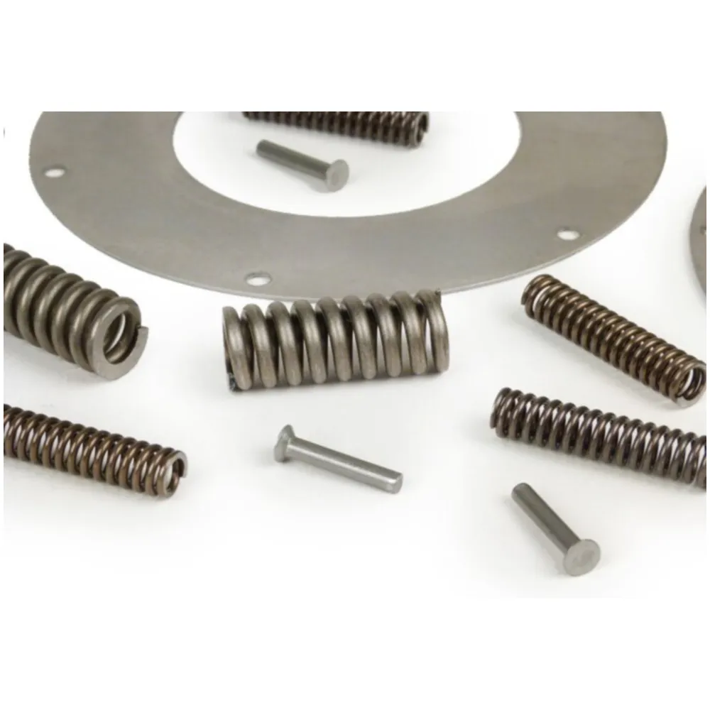 Primary gear repair kit -BGM PRO 12 springs (reinforced+)- V_3