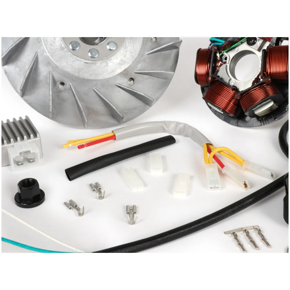 Ignition -BGM PRO 12V Touring - Conversion to electronic ign_1