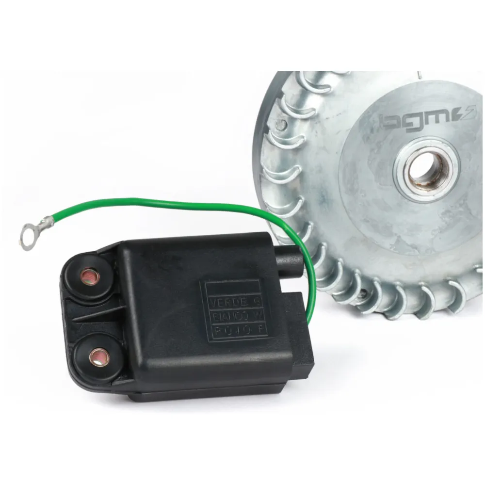 Ignition -BGM PRO 12V Touring V2 (1315g)- Conversion to elec_3