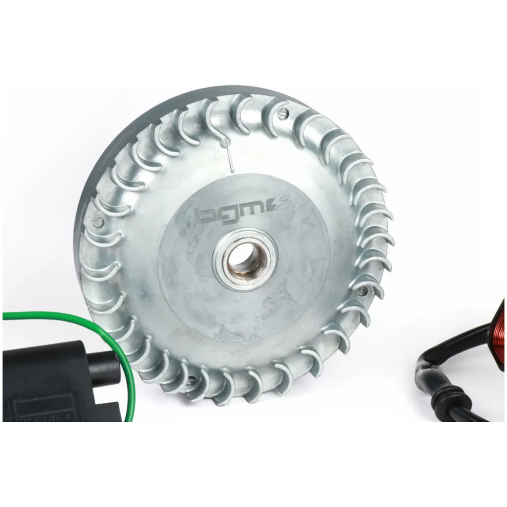Ignition -BGM PRO 12V Touring V2 (1315g)- Conversion to elec_1