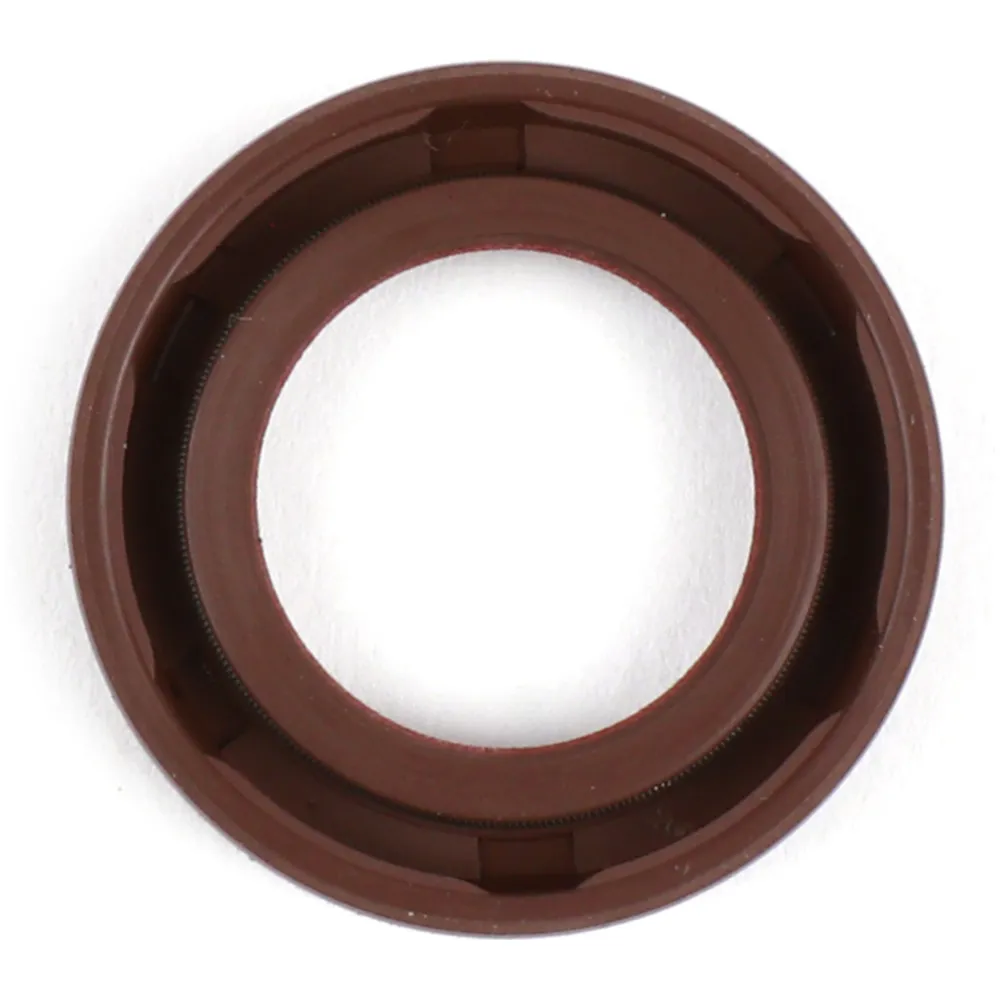 Oil seal 17x28x5mm -BGM PRO Rulon® (E10/etahnol resistant)- _1
