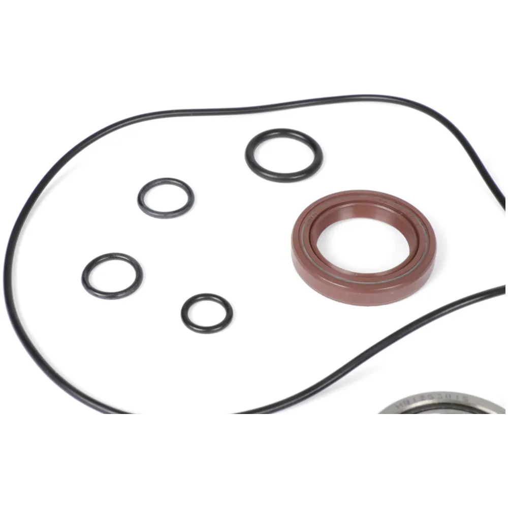 Bearing and oil seal set for crankshaft -BGM PRO FKM/Viton® _1