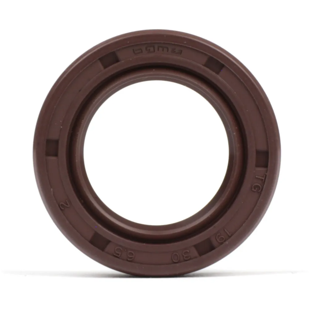Oil seal 19x30x6,5mm -BGM PRO FKM/Viton® (E10/etahnol resist_1